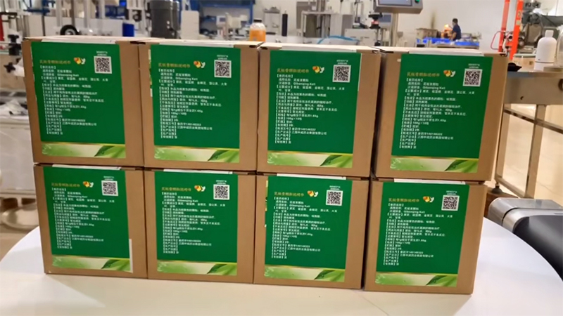 Carton & Case Double Side Labeling Machine