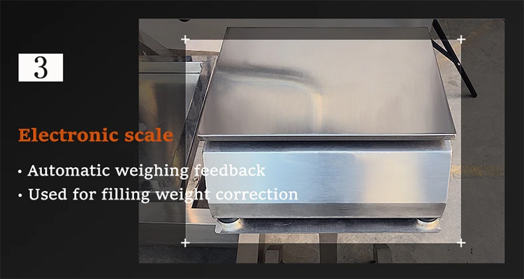 Electronic Scale